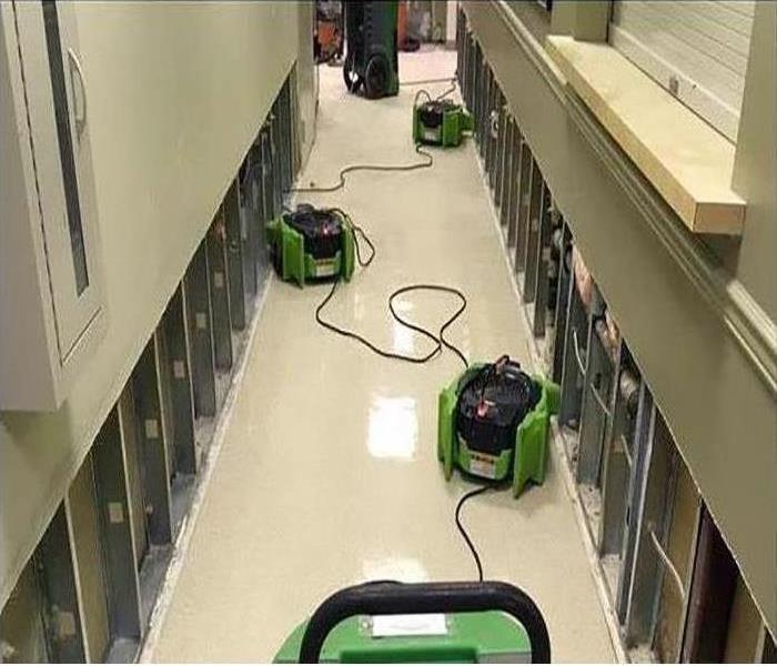 Three of our green machines drying the hallway in this property