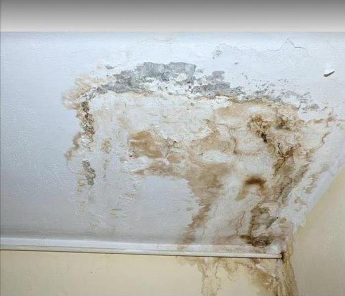 mold on ceiling and wall