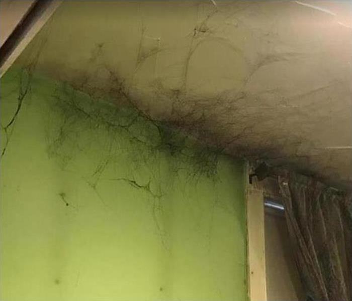 Soot tags (webs) along fire damaged ceiling