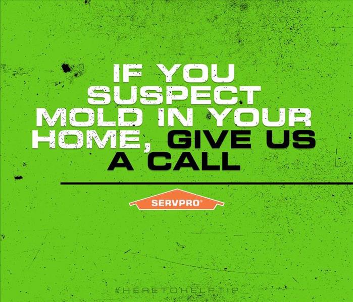 mold poster servpro  suspect mold?